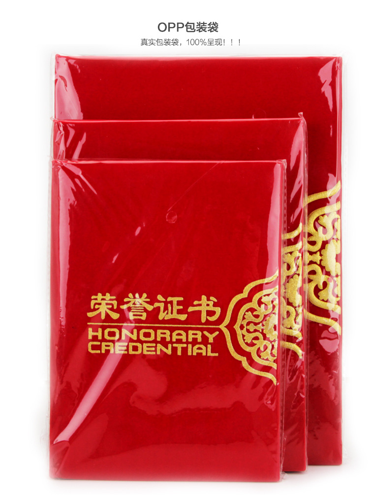 荣誉证书_09