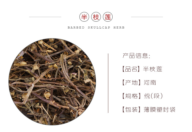 Ban Zhi Lian Dried Scutellaria barbata Herb Cut Segments 500g Traditional TCM Decoction Herb overview