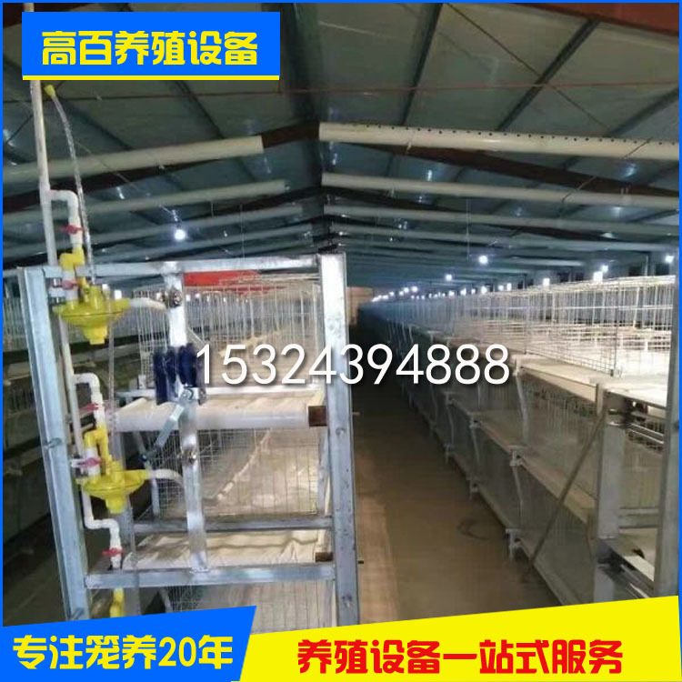 直銷肉雞籠舍飼養 層疊式肉雞籠 雞籠全套設備 籠具廠定制