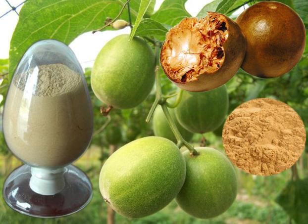 1192654_20130124111454