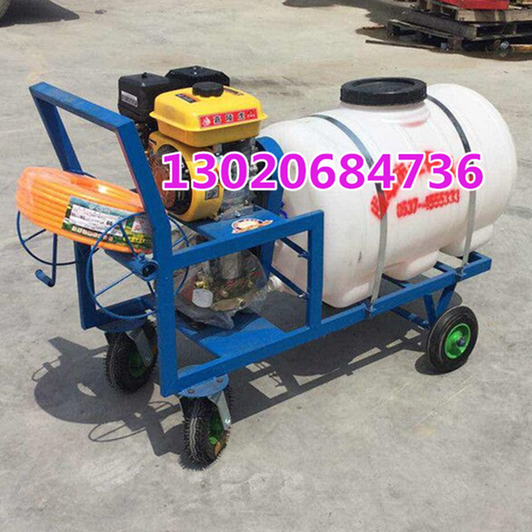 菜园瓜果蔬菜打药机