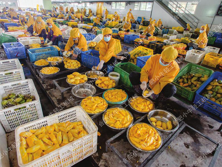 橫版750x563(4_3標準）