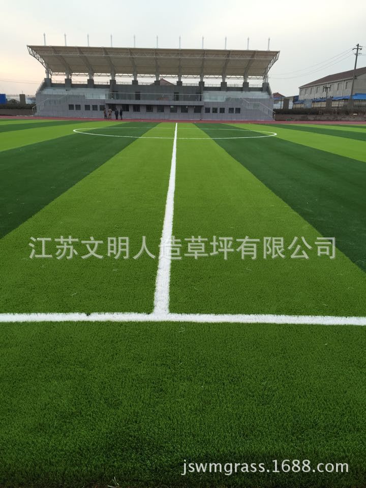 足球場人造草坪案例
