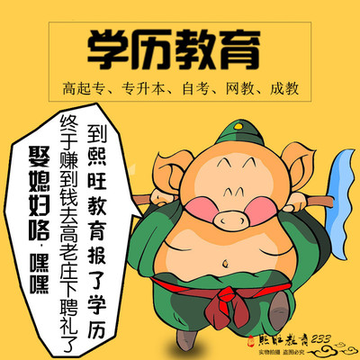 2019年正规学历教育网教自考大专本科成人教育学信网可查