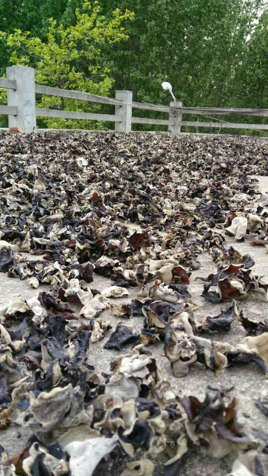 QQ图片20160418213942