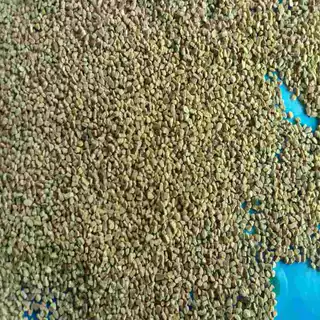 核桃壳用途 核桃壳供应商 磨料水过滤料核桃壳 0.4-5mm核桃壳颗粒