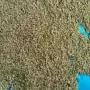 供应商-5mm核桃壳水过滤磨料