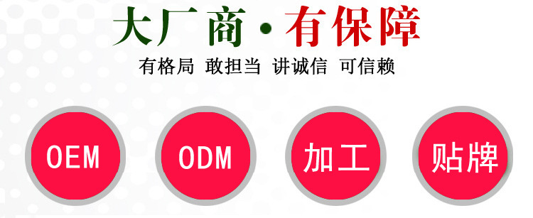 专业大厂OEM