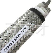 �S�����l���������|CEF CEF90 CEV CEVR�����a���N��̖��|