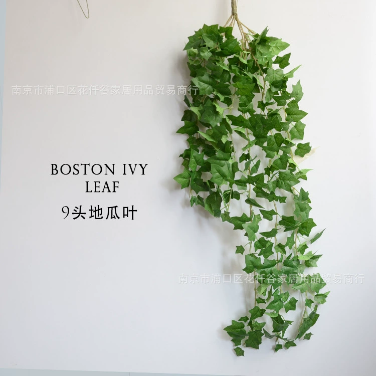 Совокупность Ivy imitation plant green leaf vine creative indoor wall hanging decoration simulation plant sweet potato vine