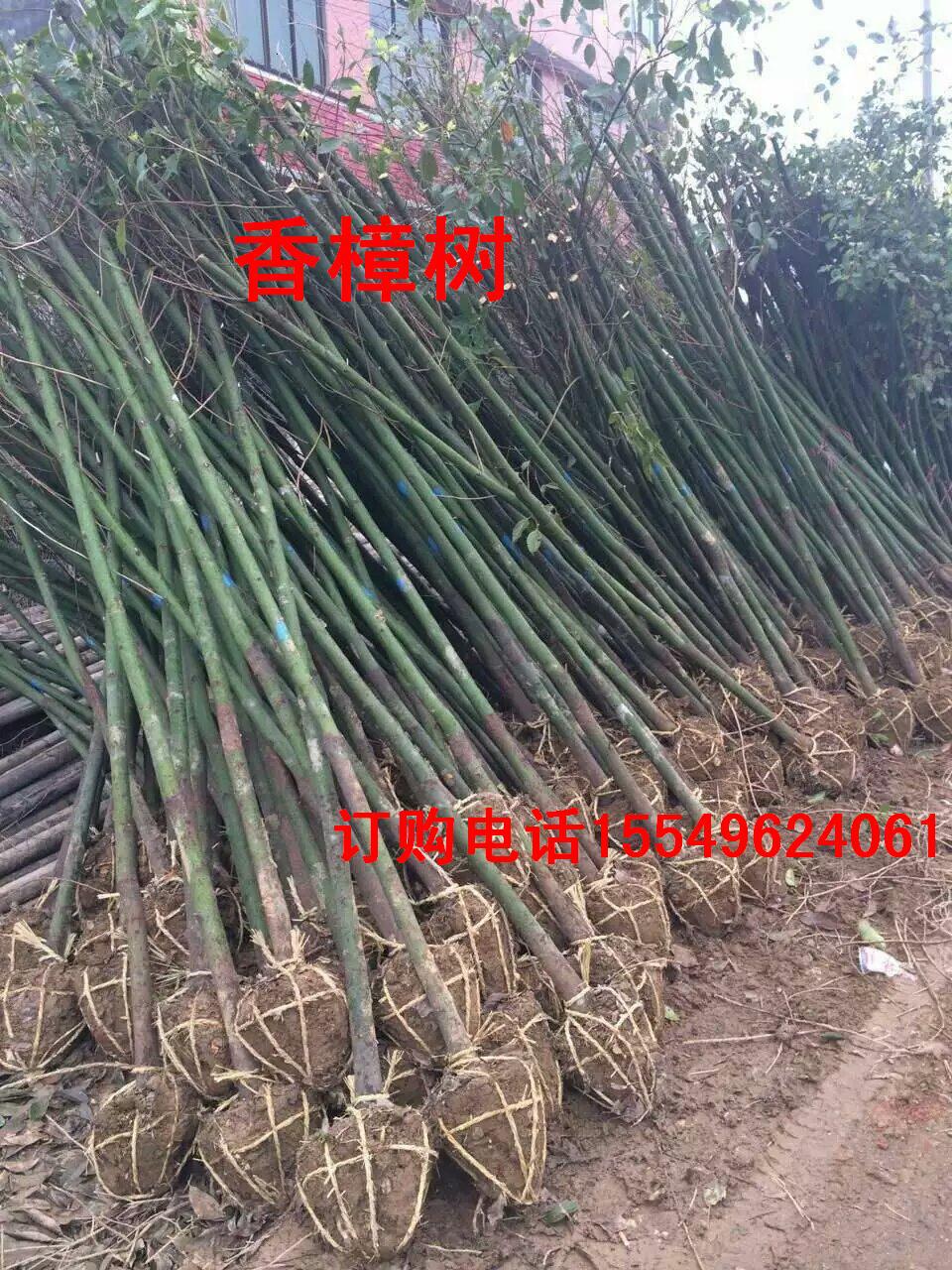 mmexport1475494629169