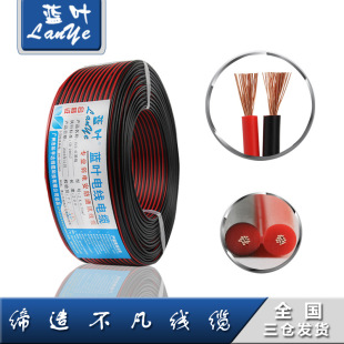 �S��ֱ�N RVB2*0.5�t�ھ� �V����푾� LED�Դ���O���Դ��100��