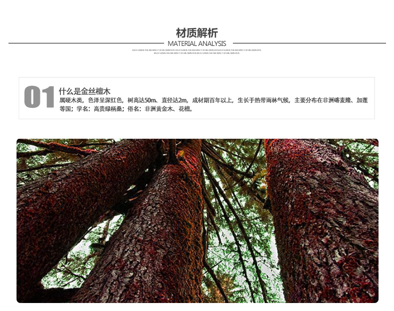 R-Just Light Slim Timber Aluminum Metal Wood Bumper Case Cover for Apple iPhone 5S/5/SE