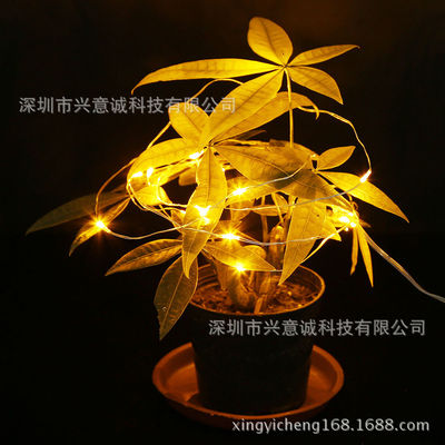 Xingyi Cheng CR2032 Battery Box waterproof LED technology decorate Silver Line Lamp string Golden 2 m 20 Light