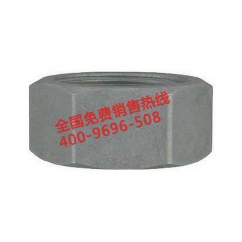 热式流量计TDMT 美国Dwyer 热式流量计TDMT