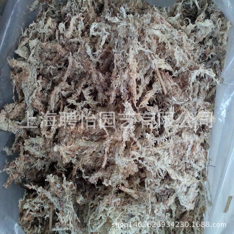 干水苔苔藓兰花栽培基质乌龟冬眠专用垫材1千克 阿里巴巴