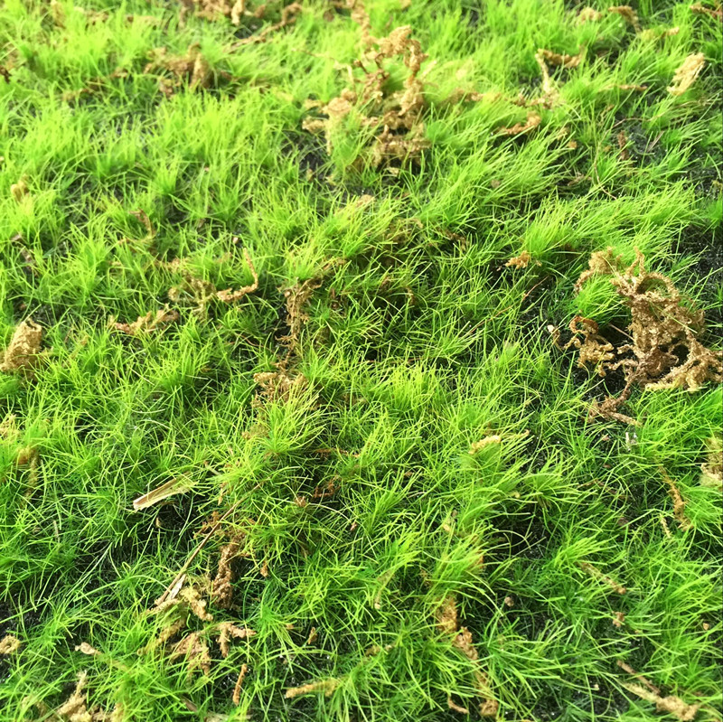 QQ图片20160717215112_副本