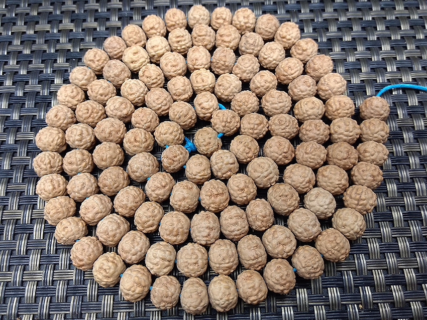 1 (11)