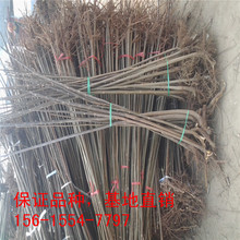 �㴻�����    �㴻С�� �׳ɻ��㴻��������㴻�� �t���㴻����