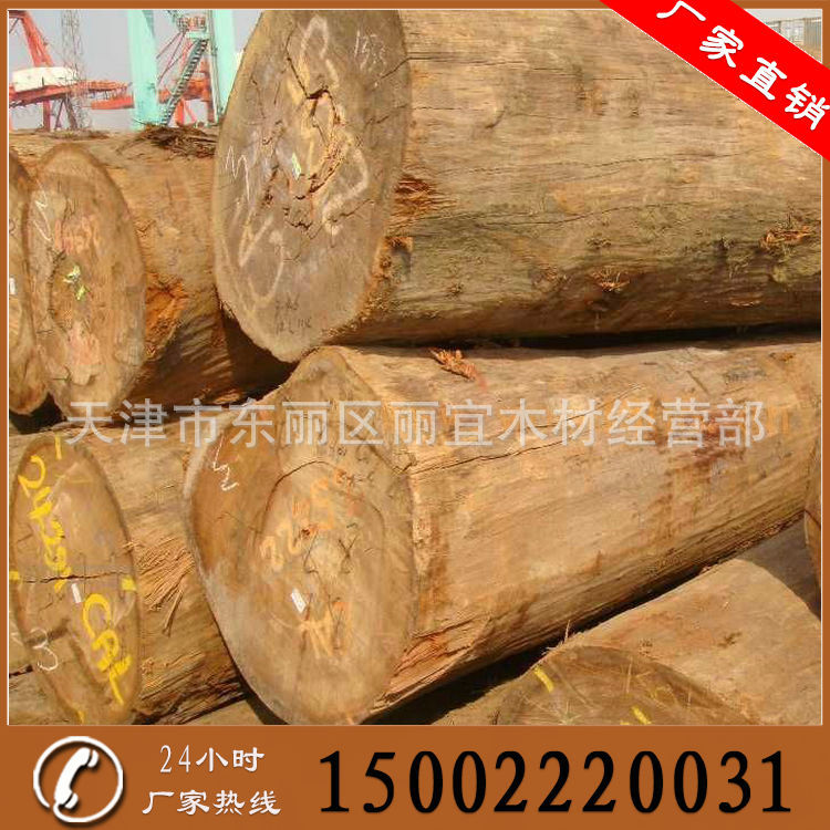 Large supply Imported Begonia wood Log ice candy Begonia wood Log
