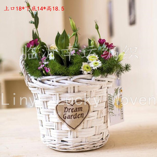 �R�ʏS��ֱ�N���������lľƬ�������軨�@�@���ٻ@��ˇ�@