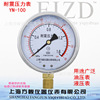 供应上海方峻耐震压力表油压表0-1.6mpa抗震压力表YN100充油