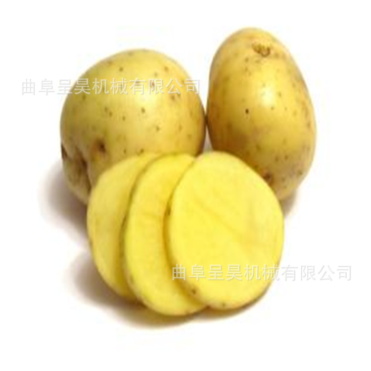小土豆切片机 呈昊机械加工离心切片机 食品加工用 干净安全
