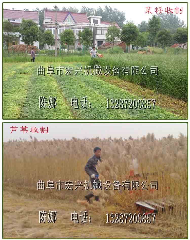 水稻收割机_青贮饲料收割机 牧草收割机图片