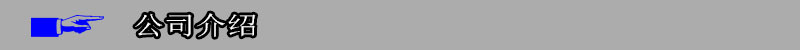 公司介绍