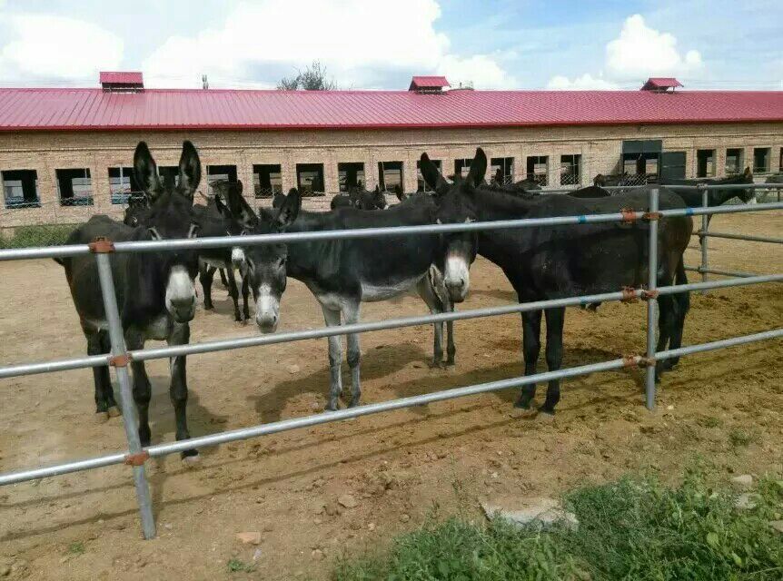 QQ图片20160303161245