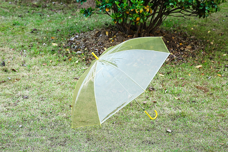  彩虹色透明雨伞 时尚创意直柄伞