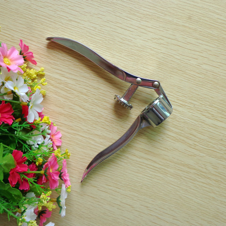 Puesto nuevos productos exóticos prensa de ajo de acero inoxidable