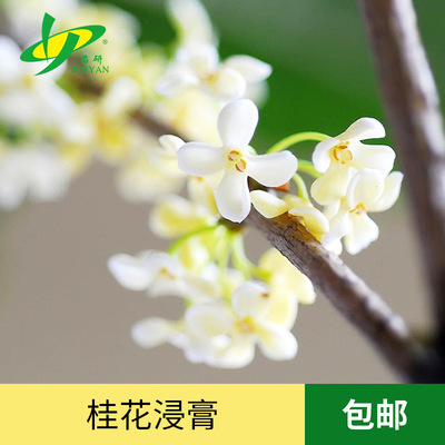 厂家直销桂花浸膏py-1310G0016 品研烟用浸膏 现货包邮|ru