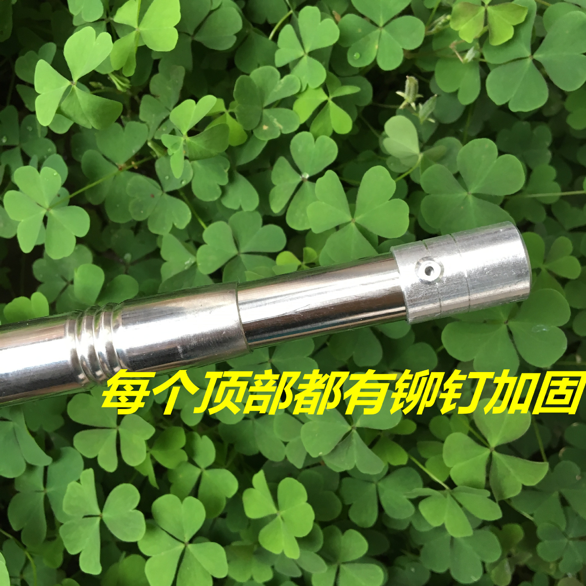 阿里IMG_4588_副本