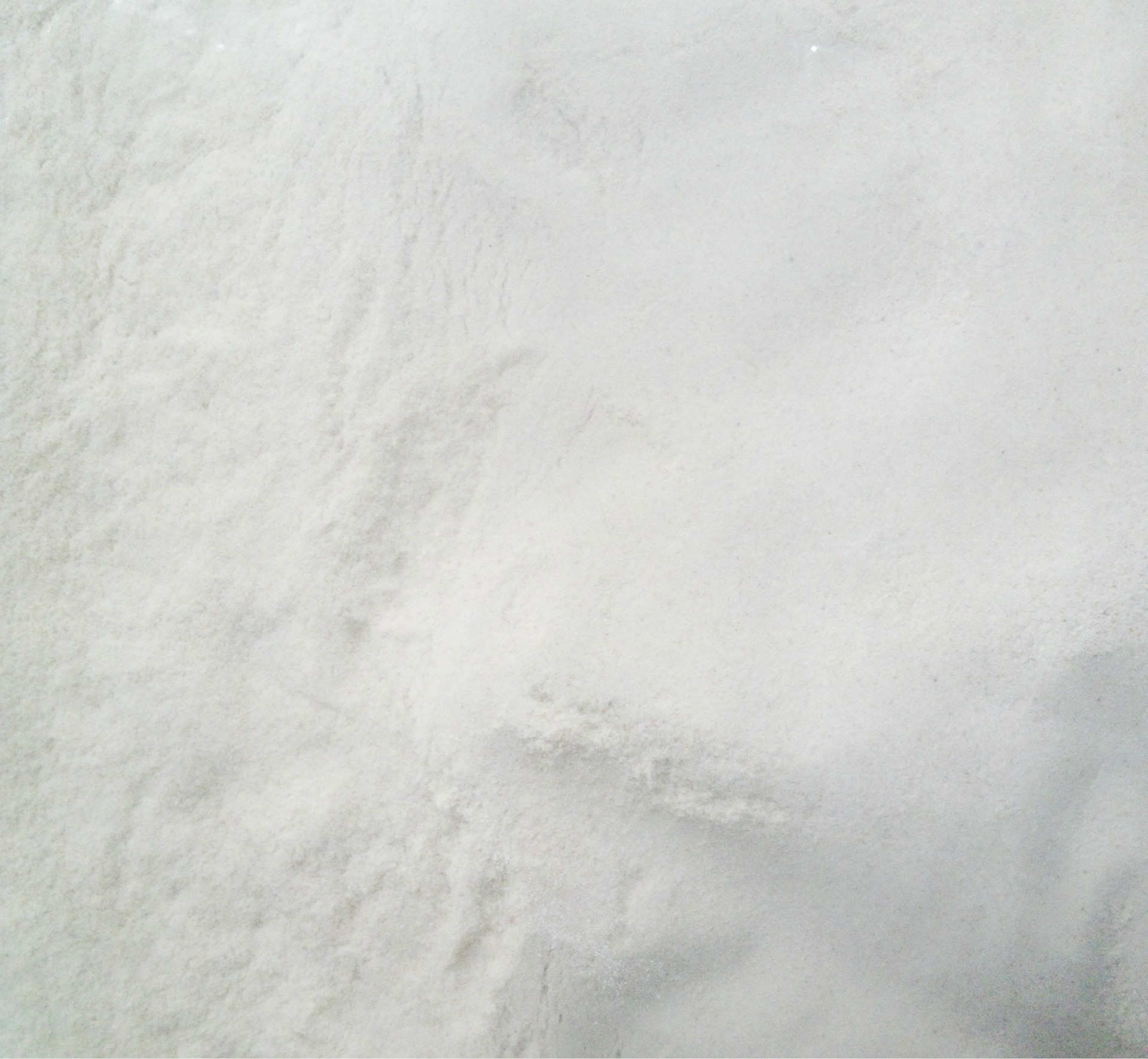 印度进口圆苞车前子粉 纤维粉天然植物99%纯度 膳食纤维新资源