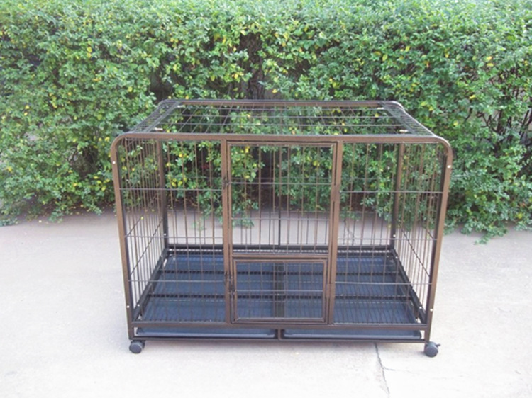 QQ截图20120626094708