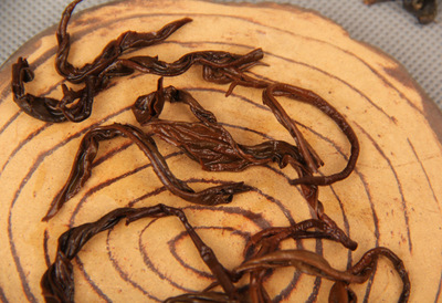 一芽一葉紅螺 (7)