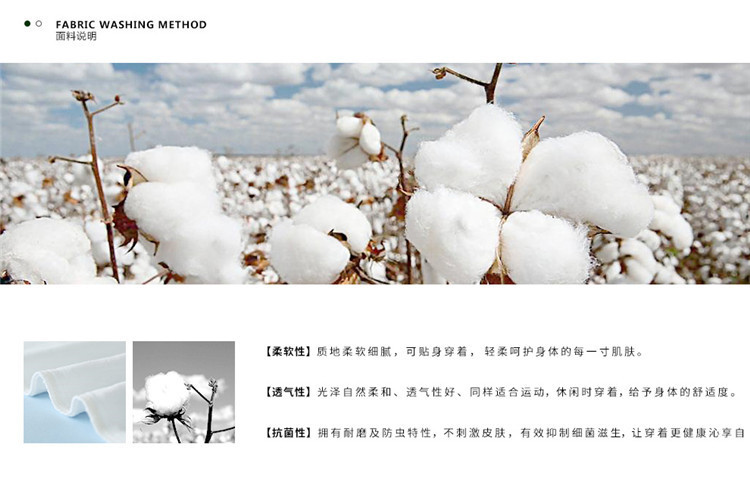 TB2AYElrVXXXXX3XpXXXXXXXXXX_!!