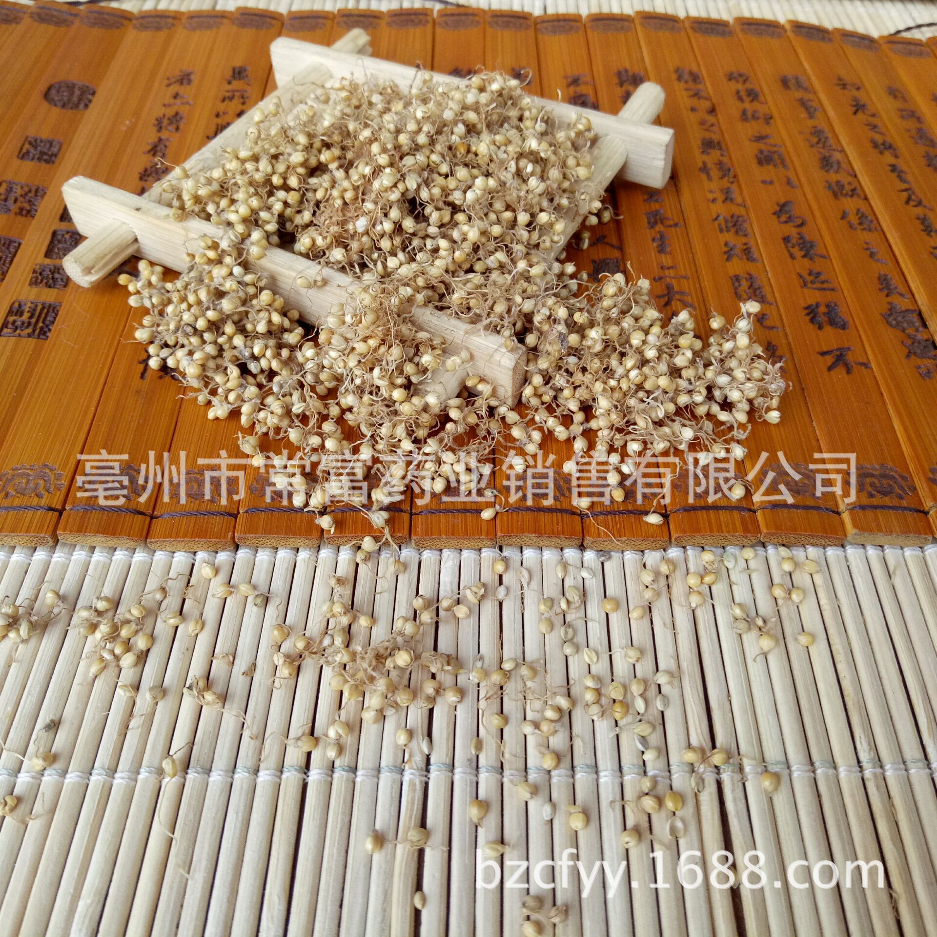 Dried Setaria Sprouted Grain Gu Ya 谷芽 Sprouted Millet Grain TCM Herbal Ingredient 500g overview