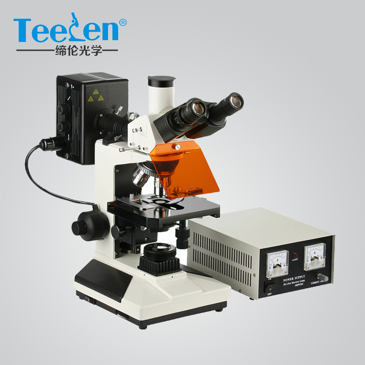 上海缔伦光学CFM-500正置B/G/V/UV四色激发透反射荧光显微镜