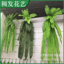�S�ҹ��� �ߙn����ާ�ֲ���F���~ ���ϻ�����ֲ���~�ӱڒ����l