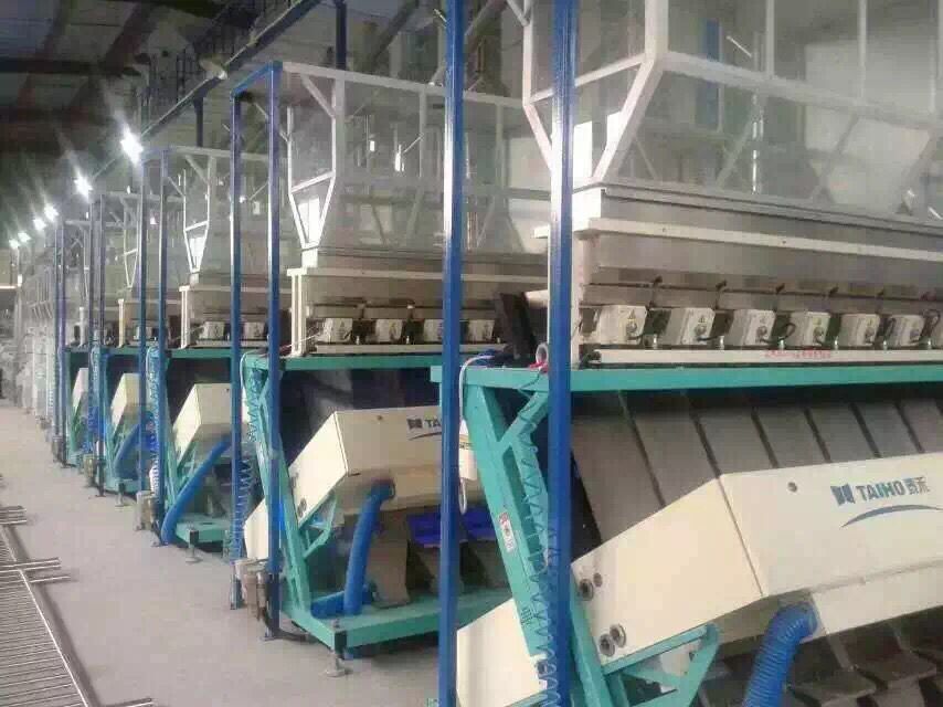 玉米色選機新12