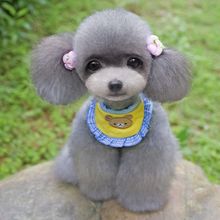 С�܇��� ���ﹷ����ˮ�� ̩�χ����A�I������������