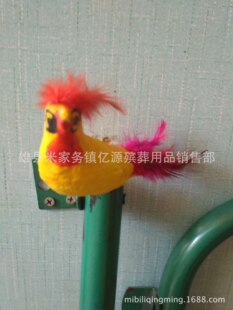 ������ƷС�B �����B �S�����l���N��ĭ�u �� �����Ƿ�