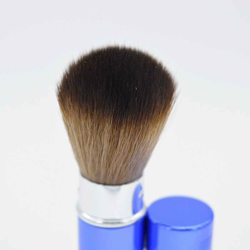 Blush Brush Image 9