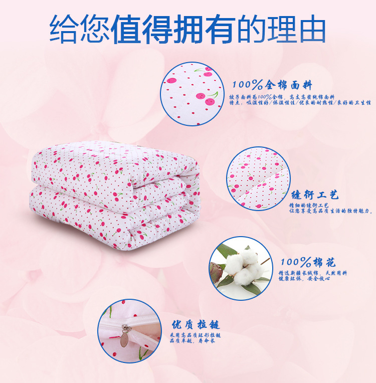 新疆烏魯木齊市德爾豐棉業_05