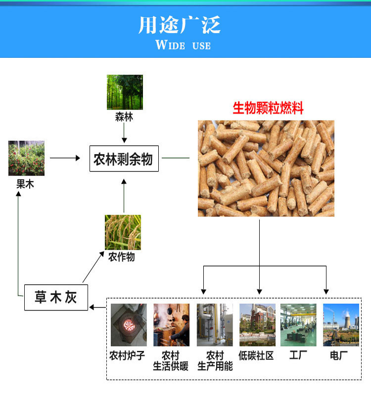 3144233089_428360986 (1)