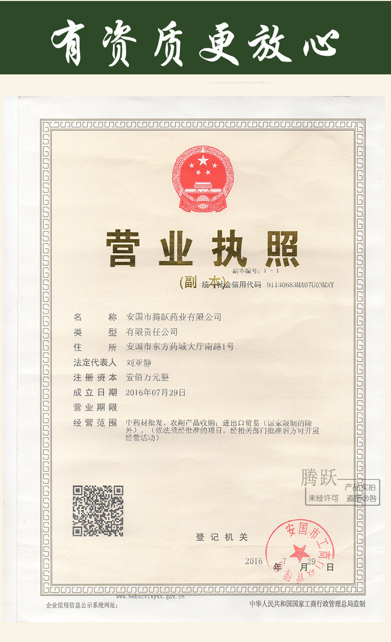San Qi Notoginseng Root Whole Dried Panax notoginseng Yunnan Wenshan Raw Herb for Decoction and Tea quality and texture