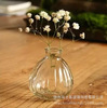 Wholesale creative European -style small mouth pumpkin flower bottle home ornament flower bottle dry flower blooming flower bottle glass vase