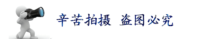 1895127044_1814493962